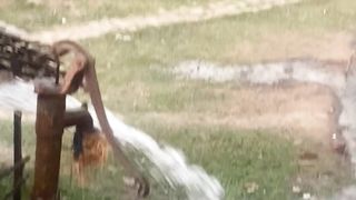 irrigation
