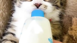 So cute