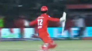 #pslfinal #psl #livematch #cricket #yorka #winingmoment