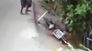 Funny videos