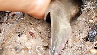 look what this guy found surprising