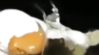 Best funny video and make sure they