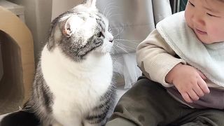 Happy moment of cat and baby