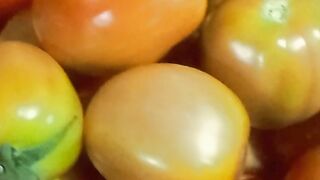 A Beautiful Tomato