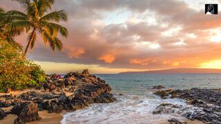 New relaxing music 2023 | Relaxation