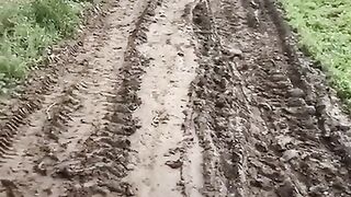 tiktok video