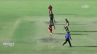 funny cricket video 2022