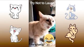 Funniest Animals 2023 ???? Funniest Cats and Dogs ???????? Part 2