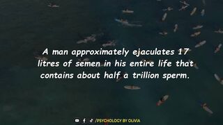 amazing hidden facts
