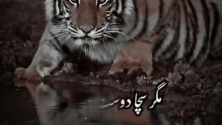 Poetry for freind