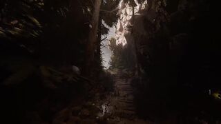 Tomb rider apk