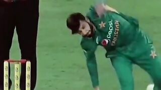 Cricket best  fielding video