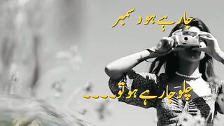 Poetry - Sad Poetry - Urdu Poetry - Urdu Sad Poetry - December - loneliness- Winters - Cool - loneliness
