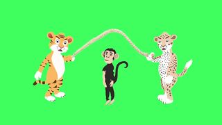 TIGRE , LEOPARDO E MACACO PULANDO CORDA ????