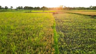 Drone Shots of our Village - Dji Mini 3 Pro Cinema