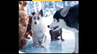 Best Movie Clip |
