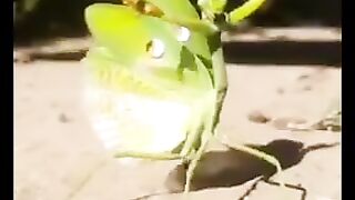 #funny