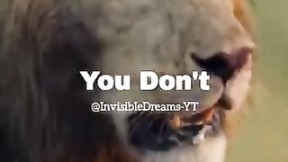 Attitude - Lion King - Don't Cross The Limit ???? ????