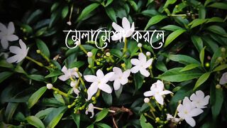 মানুষের সাথে খুব বেশি