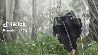 жамгыр