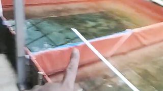 Air kolam tidak HIJAU padahal sudah dipupuk dan diendapkan 3-4 hari