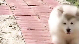 لحظة مضحكة