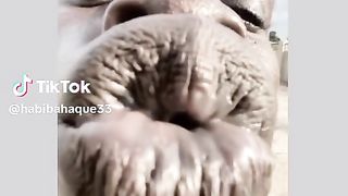 Most views funny video of the world