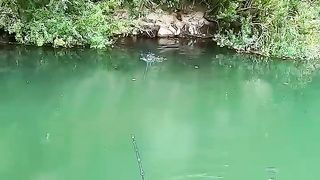 ???? Silure Géant ???? #fishing #pêche #silure #bigfish