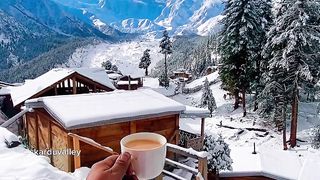 Enjoy Life