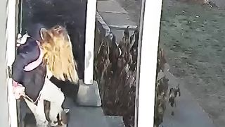 Heroic mom saves terrified five-year-old from raccoon attack