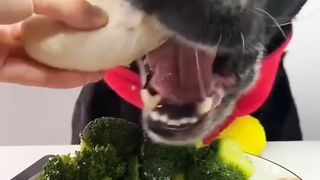 It's a eating time!!!!!!!!