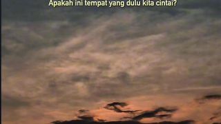 see the sunset