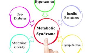 Understanding metabolic rate and its impact on metabolism: factors, influences and implications