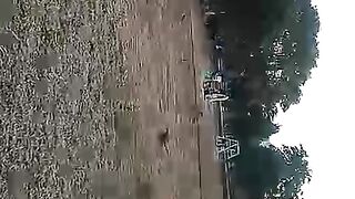 Bacha Masti