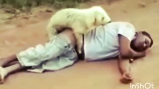 Funny Videos