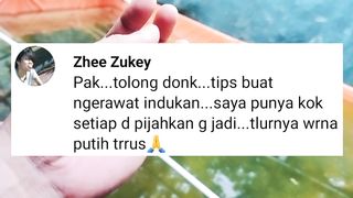 Tips cara merawat indukan lele kang, punya saya setiap mijahkan selalu GAGAL
