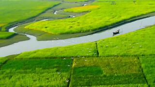 The beauty of the village