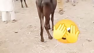So funny  ????????