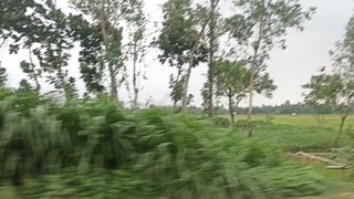 Beautiful road in Bangladesh
