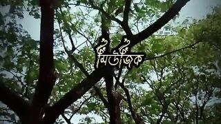 New song
