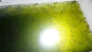 Pembeli adalah RAJA, mau malam hari sekalipun tetap kami layani