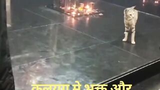 Kaliyuga me Bhagwan and bhakt ki lila
