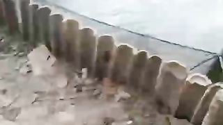 Jika kolam TANAH kalian besar dan dalam bisa budidaya lele sistem jaring keramba