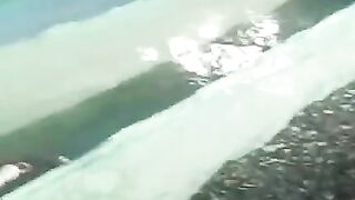 Jika ada pesanan BIBIT LELE skala banyak, panen semua kolam, SORTIR semua ikan