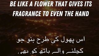 Be like a flower