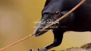 #Quran#قران