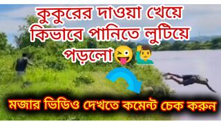 কুকুর কিভাবে দাওয়া দিলো