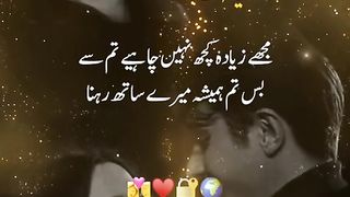 tiktok videos