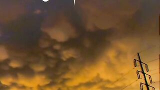 iqwal
