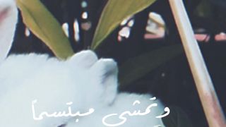 القوه